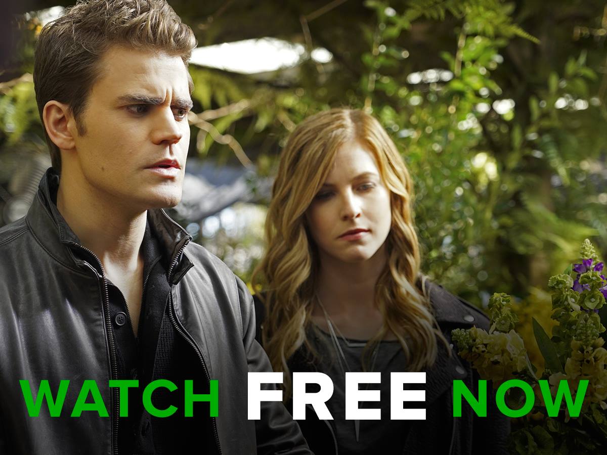 the vampire diaries spoilers rayna catches up to stefan forces